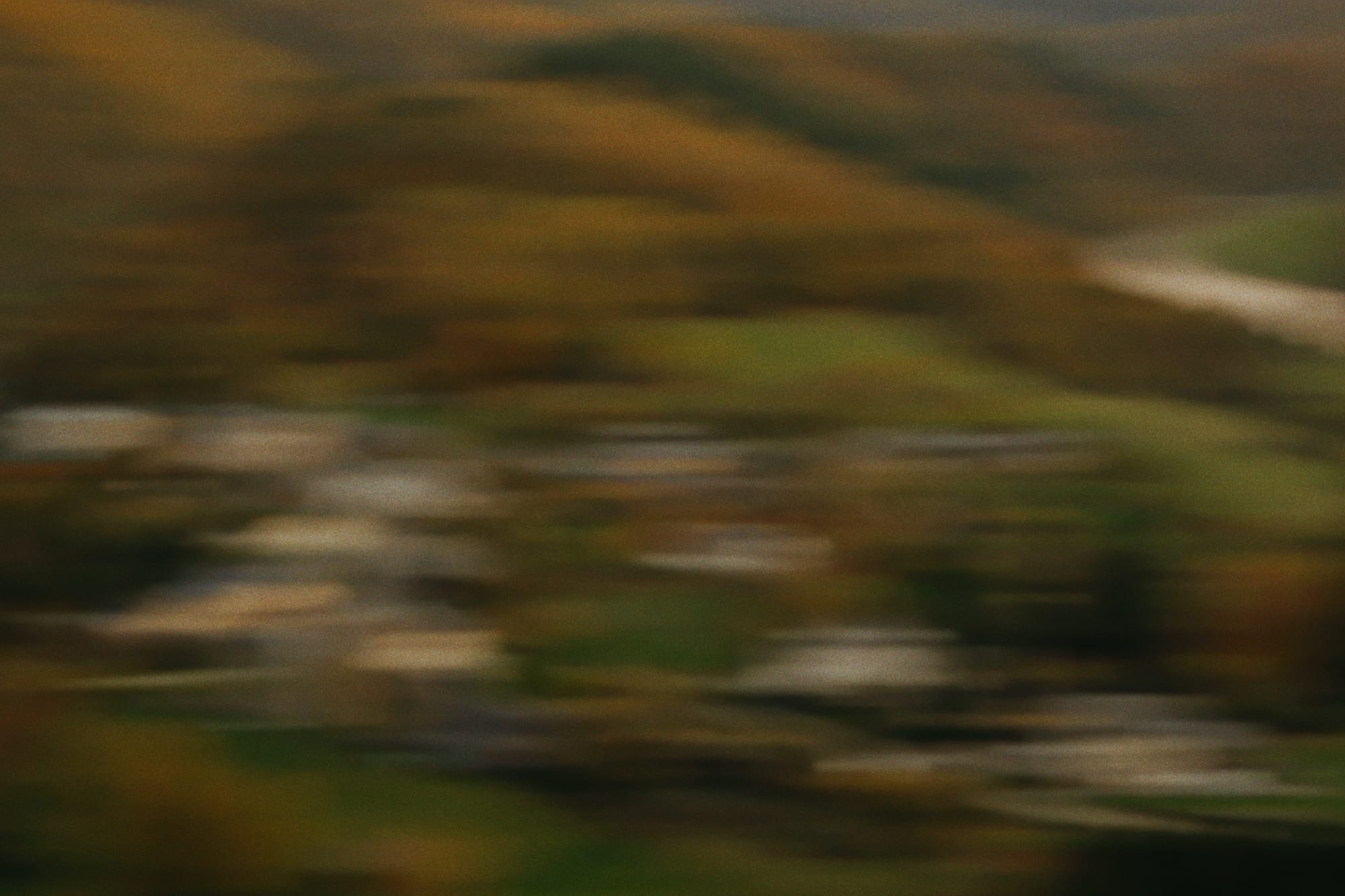 Most beliefs aren't truly yours